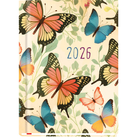 Terminarz A6 OLA T-212F-08 Michalczyk i Prokop