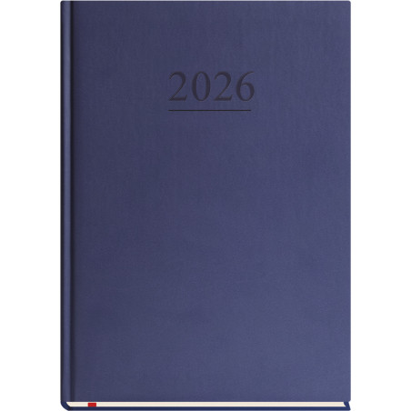 Terminarz B5 Klasyczny - granatowy T-221V-G Michalczyk i Prokop