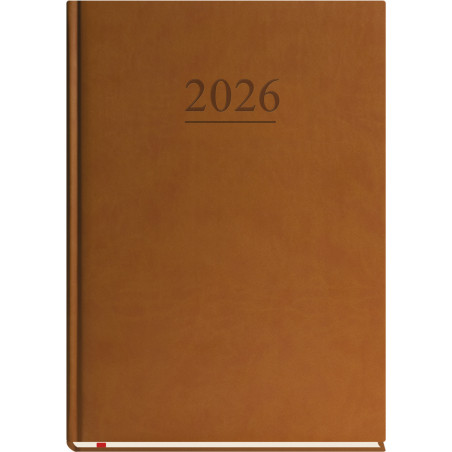 Terminarz B5 Klasyczny - c.brąz T-221V-S2 Michalczyk i Prokop