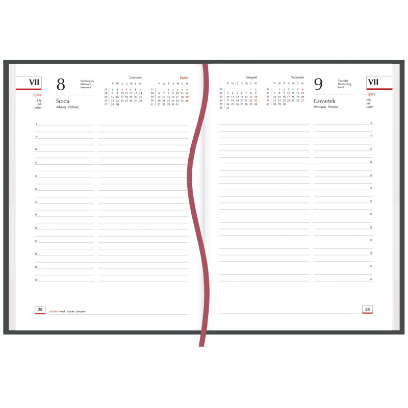 Terminarz A5 Codzienny - metalik T-255T-2M Michalczyk i Prokop