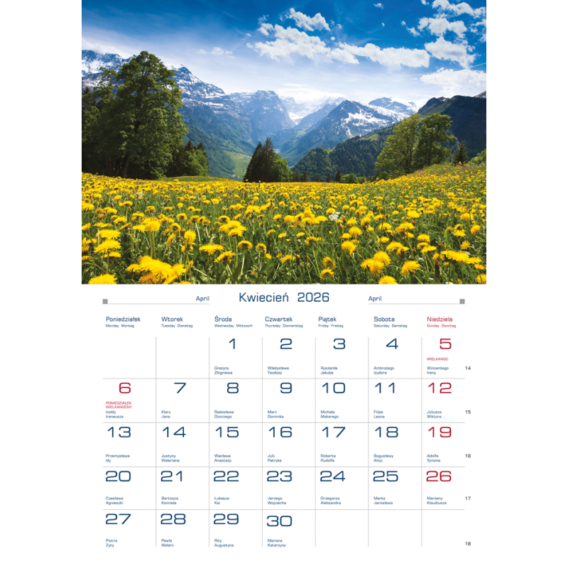 Terminarz DOMOWY - krajobrazy górskie TW-10-4 Michalczyk i Prokop