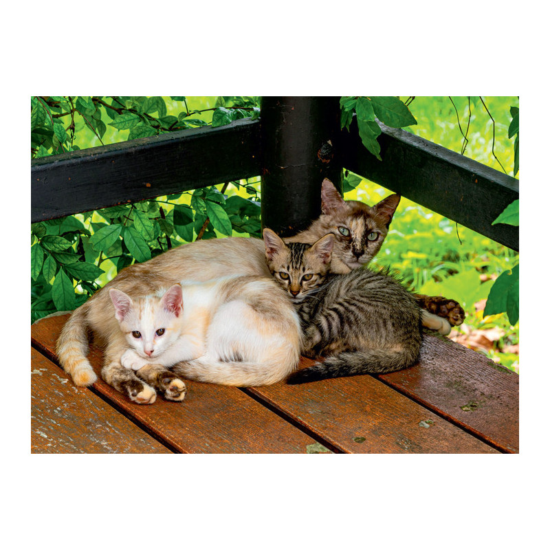 Kalendarz trójdzielny T1 BESKIDY