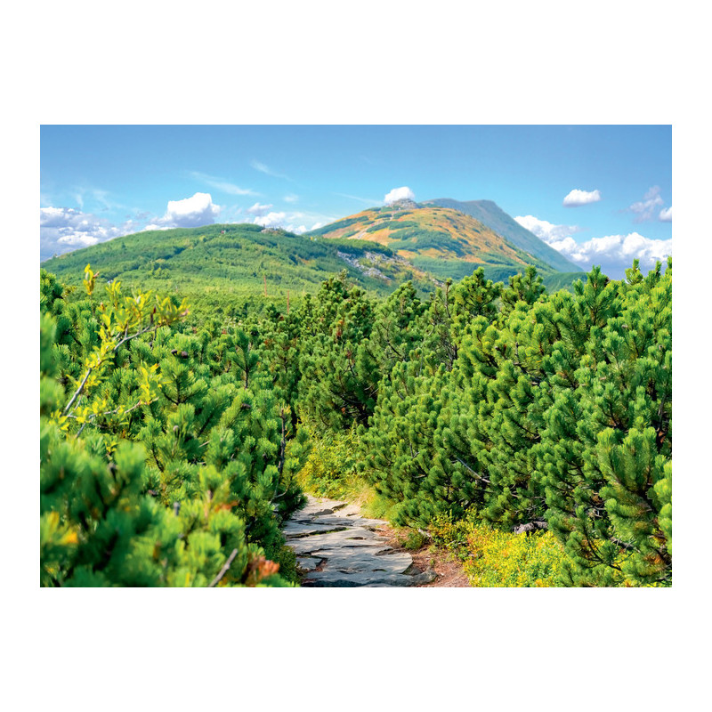 Kalendarz trójdzielny T1 BESKIDY