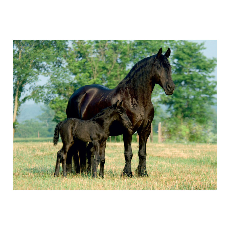 Kalendarz trójdzielny T2 BESKIDY