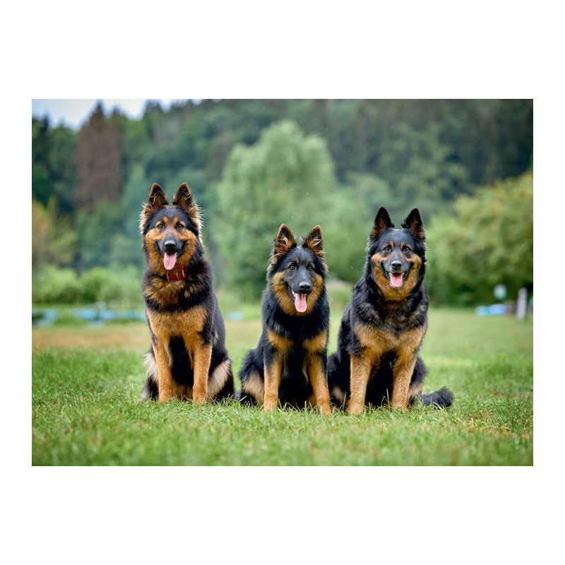 Kalendarz trójdzielny T2 BESKIDY