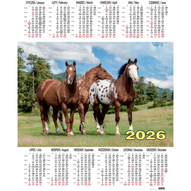 Kalendarz jednoplanszowy P9 KONIE BESKIDY