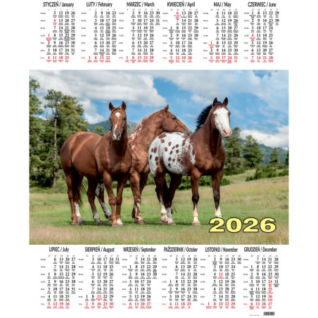Kalendarz jednoplanszowy P9 KONIE BESKIDY