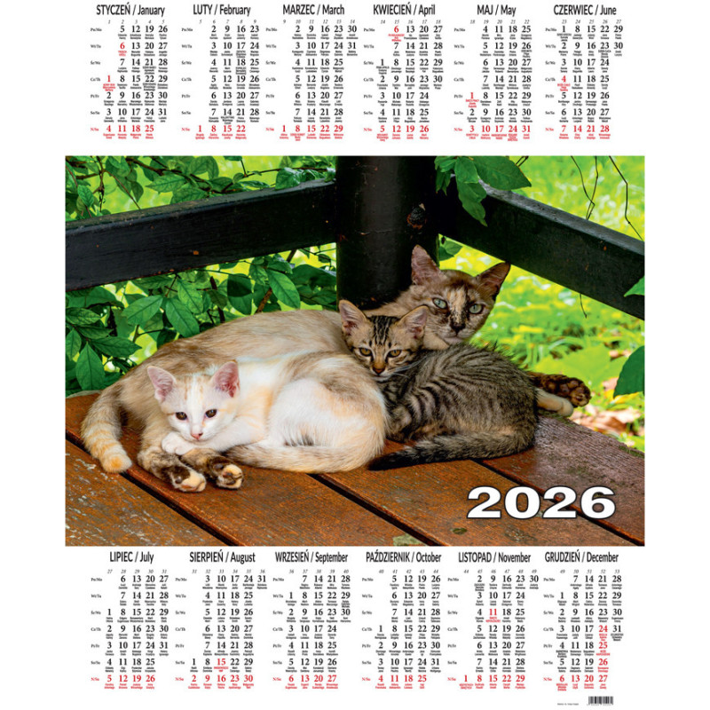 Kalendarz jednoplanszowy P10 KOTY BESKIDY