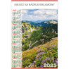 Kalendarz Plakatowy B1, P07 POTOK 67x98cm TELEGRAPH