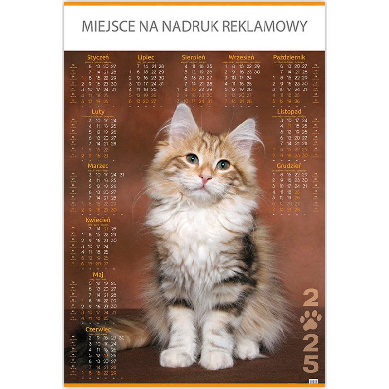 Kalendarz Plakatowy B1, P18 PIES I KOT 67x98cm TELEGRAPH