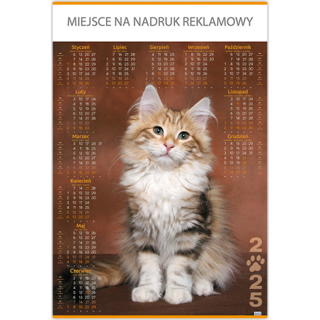 Kalendarz Plakatowy B1, P18 PIES I KOT 67x98cm TELEGRAPH