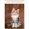 Kalendarz Plakatowy B1, P18 PIES I KOT 67x98cm TELEGRAPH