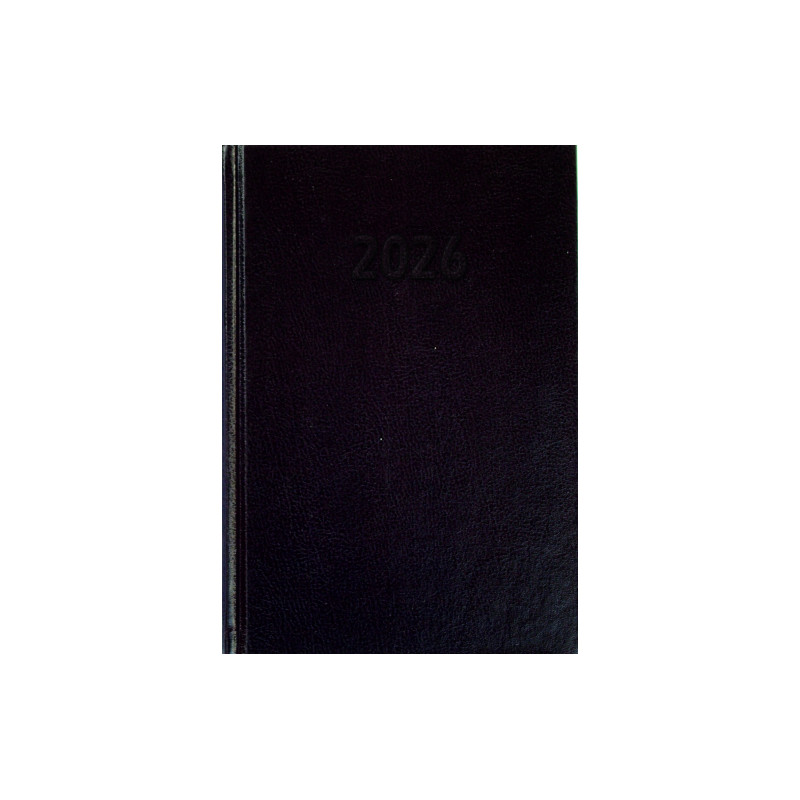 Terminarz B5 tygodniowy mix kolor okładka skóropodobna C1 BESKIDY