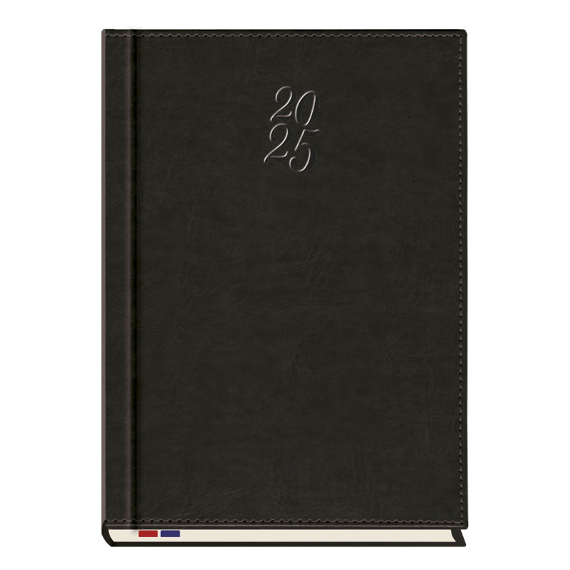 Terminarz A4 Mecenas T-253N-59 Michalczyk i Prokop