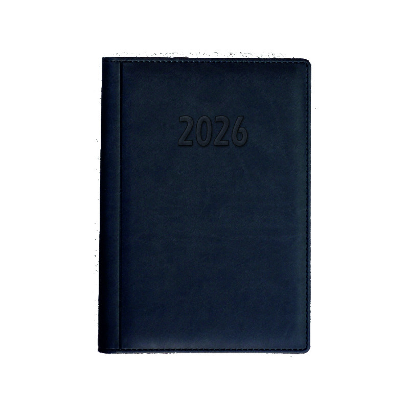 Terminarz A6 dzienny, okładka skóropodobna M4 BESKIDY