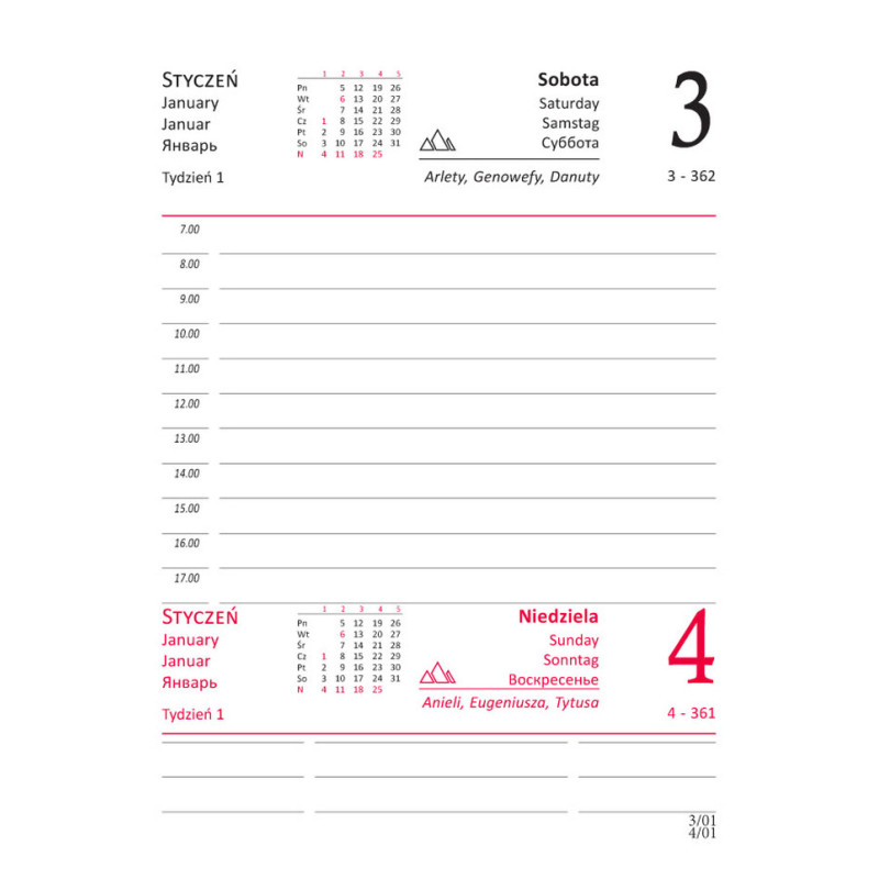 Terminarz A6 dzienny, okładka skóropodobna M4 BESKIDY