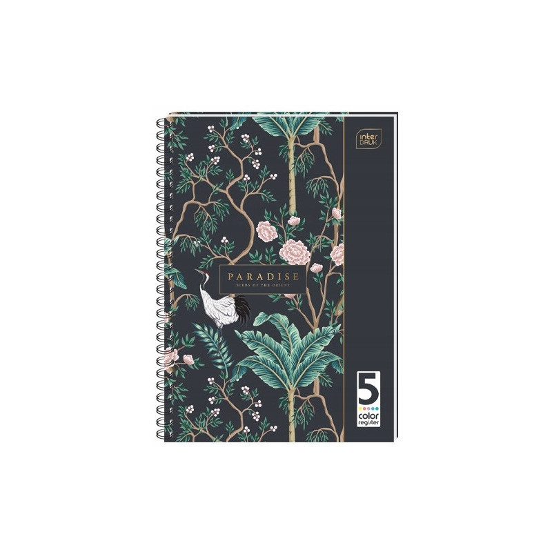 Kołozeszyt A5 100k kolorowe registry INTERDRUK