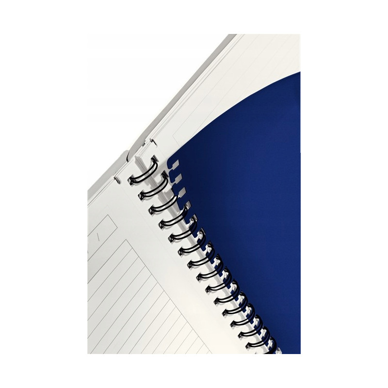 Kołonotatnik Get Organized EXECUTIVE A4 PP linia 44660000 LEITZ