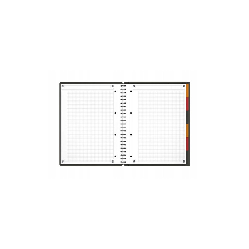 Kołonotatnik A4+ 80k kratka OXFORD Organiserbook International 100102777