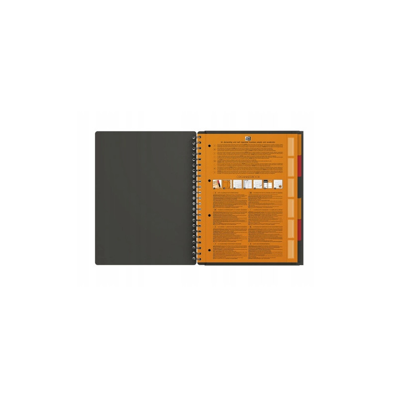 Kołonotatnik A4+ 80k kratka OXFORD Organiserbook International 100102777