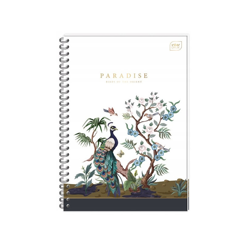 Kołozeszyt A4 100k kolorowy margines TO INTERDRUK