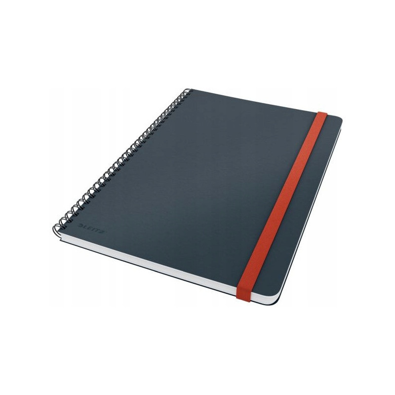 Kołonotatnik Leitz Cosy, kratka, szary 44840089