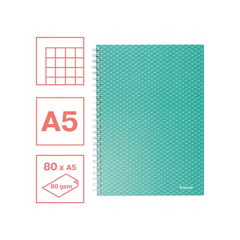 Kołonotatnik Colour`Breeze A5 w kratkę zielony 628467 ESSELTE