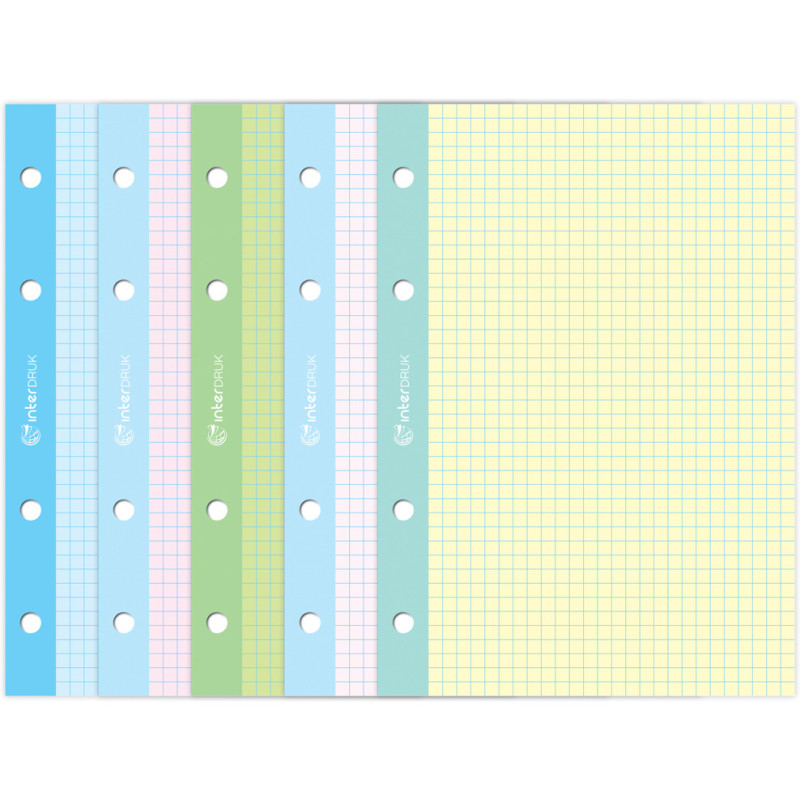 Wkład do segregatora A4 kratka ( 250ark.) kolorowe kartki INTERDRUK