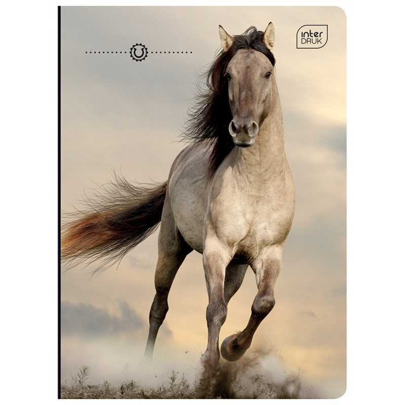 Zeszyt A5 32k kratka margines GIRLS mix INTERDRUK