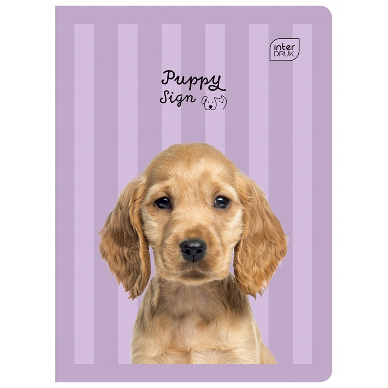 Zeszyt A5 32k kratka margines GIRLS mix INTERDRUK