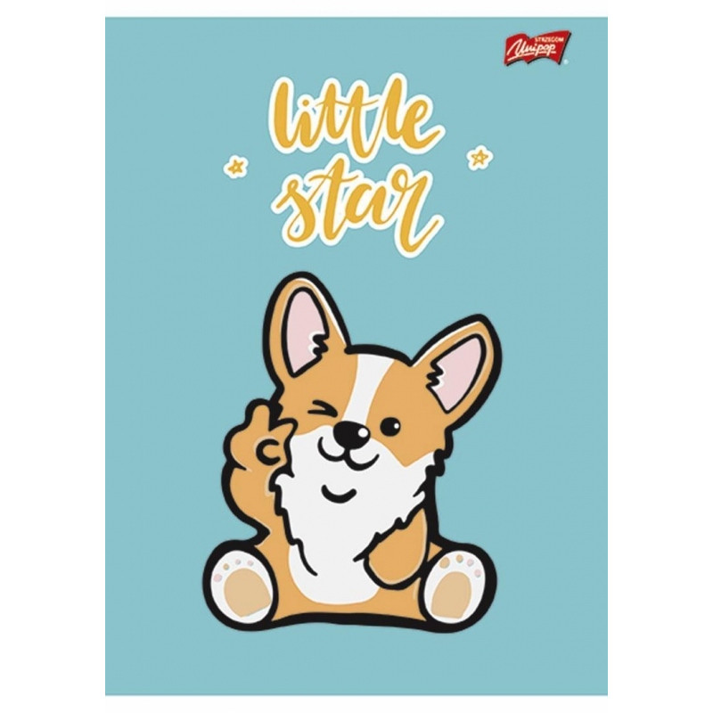 Zeszyt A5 16k 3linia dwukolorowa mix laminowany dziewczęcy UNIPAP