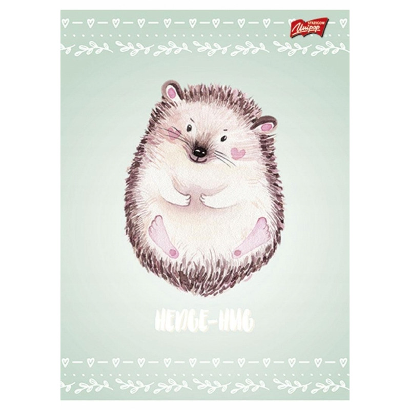 Zeszyt A5 16k 3linia dwukolorowa mix laminowany dziewczęcy UNIPAP