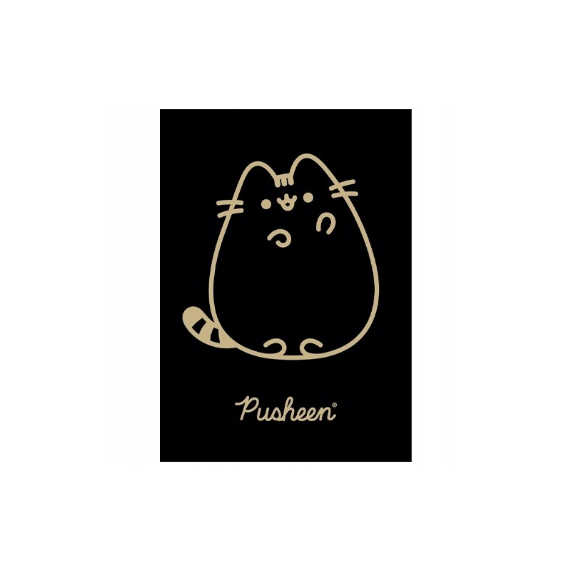 Zeszyt szkolny A5 60 kartek w kratkę laminowany PUSHEEN ST.MAJEWSKI