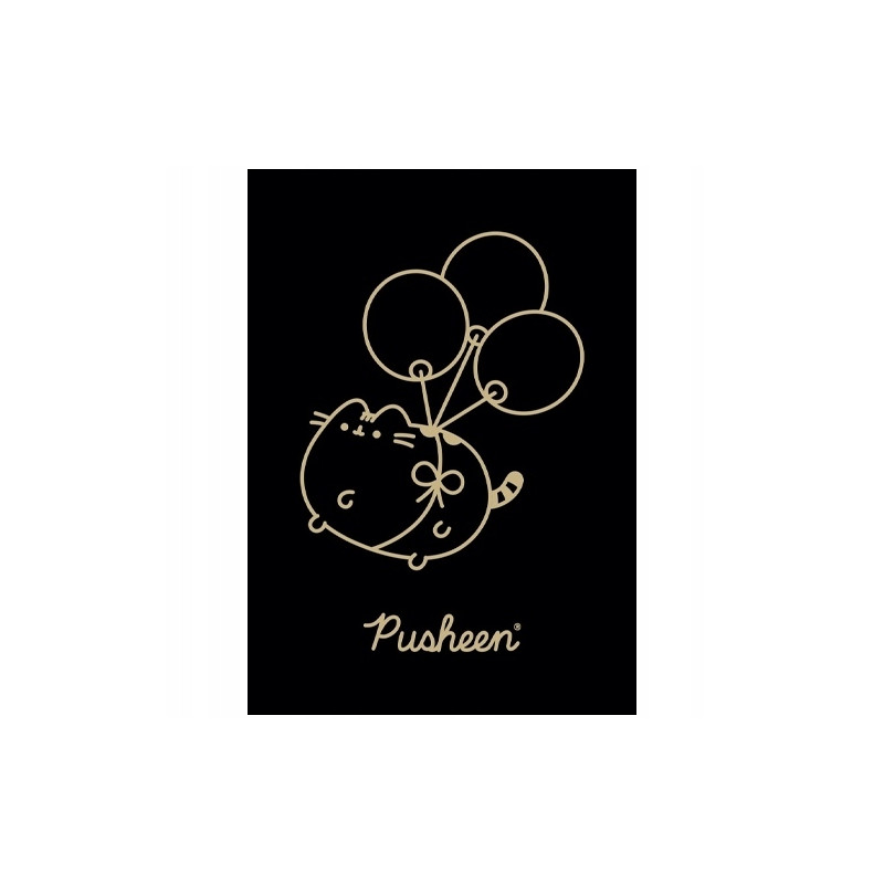 Zeszyt szkolny A5 60 kartek w kratkę laminowany PUSHEEN ST.MAJEWSKI