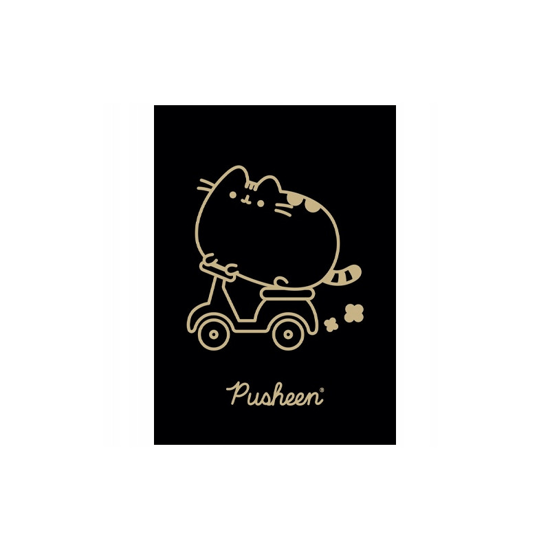 Zeszyt szkolny A5 60 kartek w kratkę laminowany PUSHEEN ST.MAJEWSKI