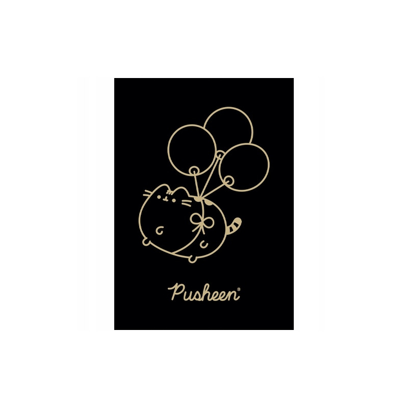 Zeszyt szkolny A5 60 kartek w kratkę laminowany PUSHEEN ST.MAJEWSKI