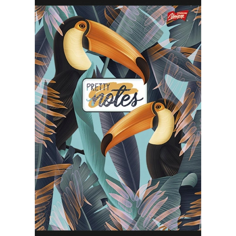 Zeszyt A5 80k linia mix dziewczęcy laminowany UNIPAP