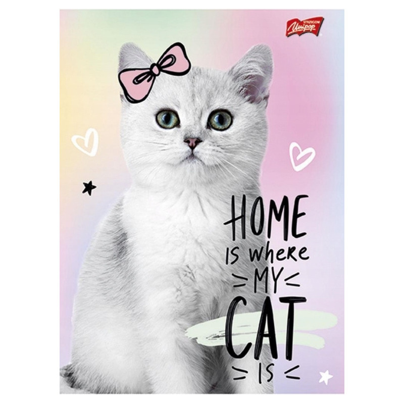 Zeszyt A5 16k kratka laminowany mix dziewczęcy UNIPAP