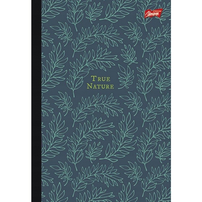 Brulion B5 160k kratka w półtwardej oprawie UNIPAP