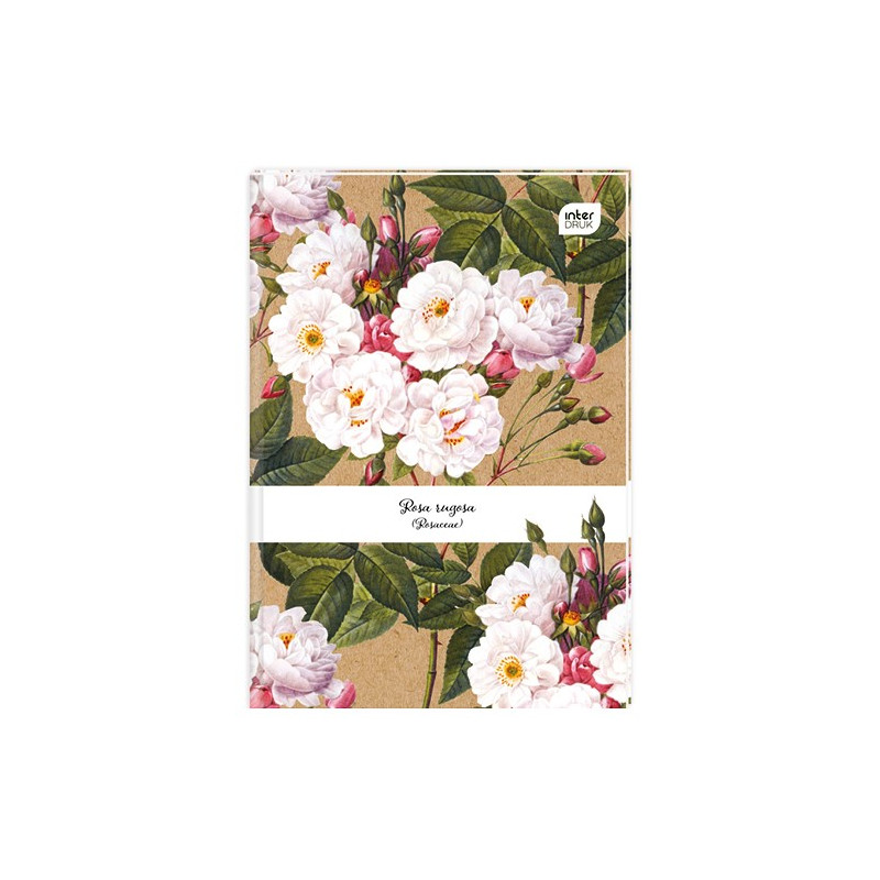 Brulion B5 160k linia twarda oprawa INTERDRUK