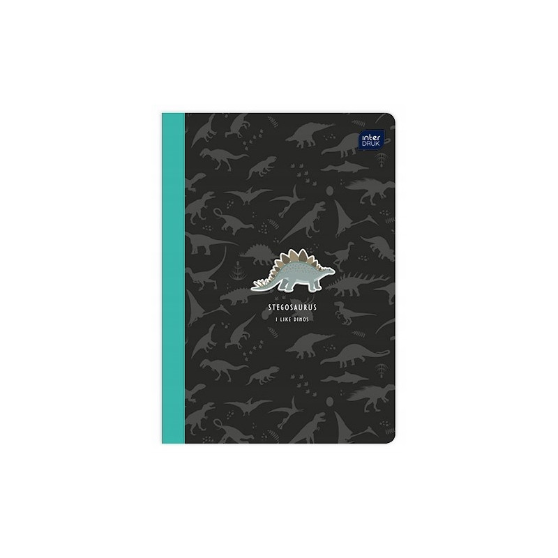 Zeszyt A5 16k gładki INTERDRUK
