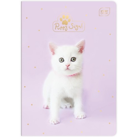 Zeszyt A5 32k kratka kolorowa UV mix INTERDRUK