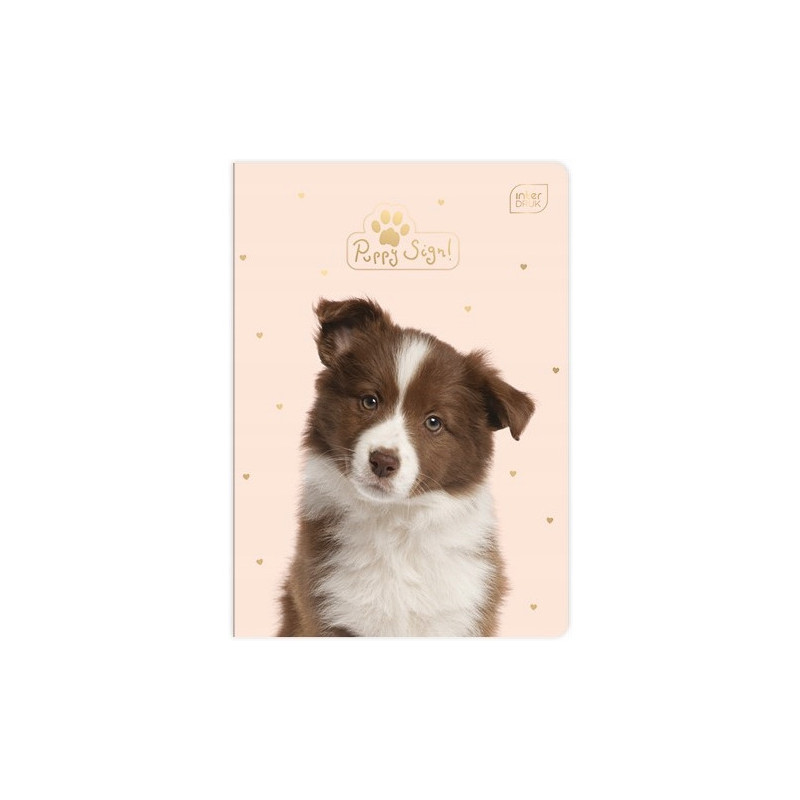 Zeszyt A5 16k 3linia 70g UV INTERDRUK