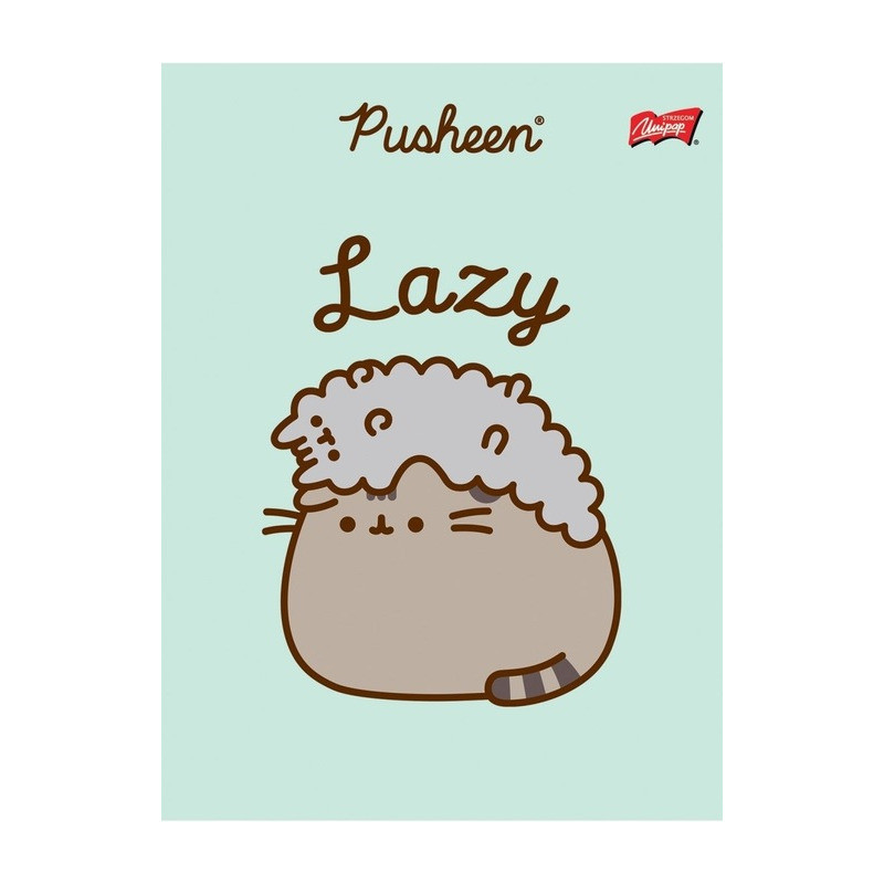 Zeszyt szkolny A5 32 kartki w kratkę laminowany PUSHEEN ST.MAJEWSKI