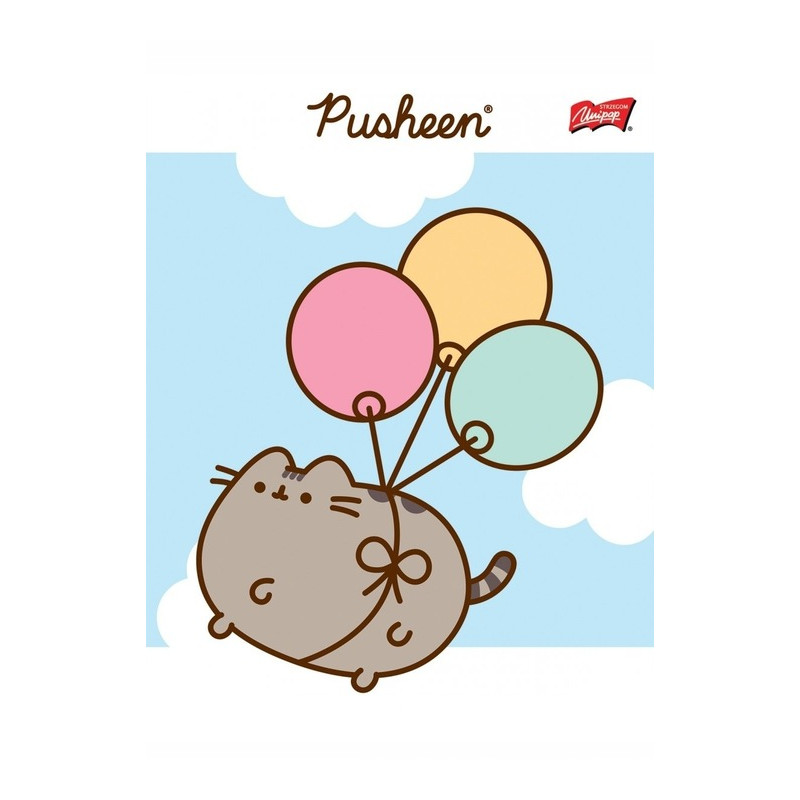 Zeszyt szkolny A5 32 kartki w kratkę laminowany PUSHEEN ST.MAJEWSKI