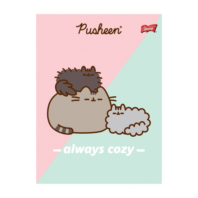 Zeszyt szkolny A5 32 kartki w kratkę laminowany PUSHEEN ST.MAJEWSKI