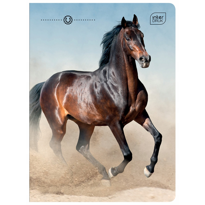 Zeszyt A5 16k kratka mix wzorów INTERDRUK