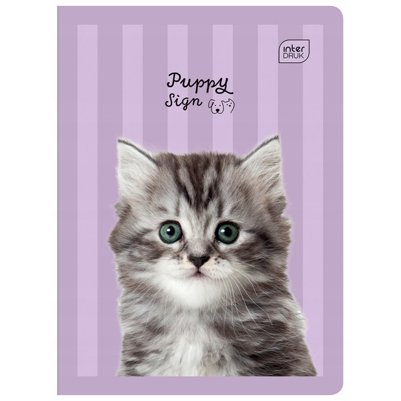 Zeszyt A5 16k kratka mix wzorów INTERDRUK