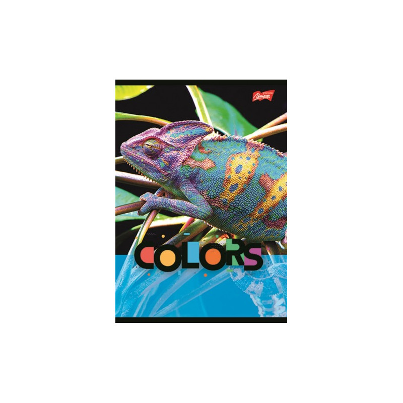 Zeszyt A5 32k kratka laminowany EXOTIC COLORS UNIPAP