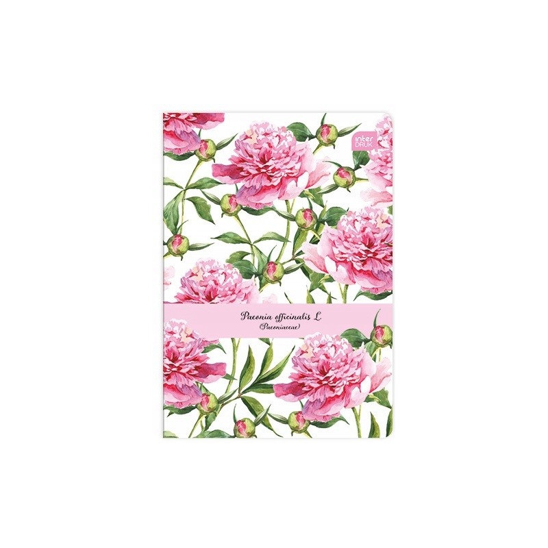 Zeszyt A5 80k linia INTERDRUK